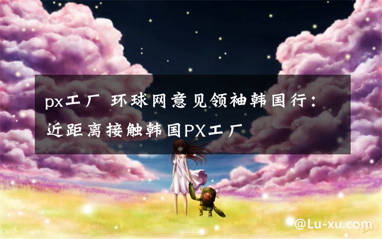 px工厂 环球网意见领袖韩国行:近距离接触韩国PX工厂