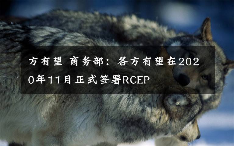 方有望 商务部：各方有望在2020年11月正式签署RCEP