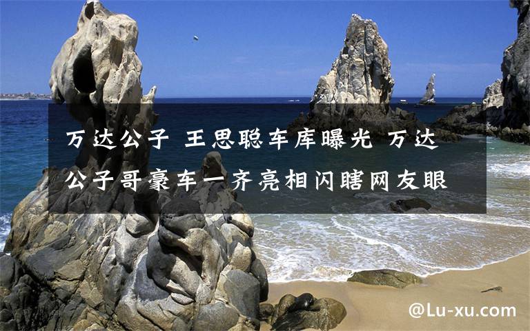 万达公子 王思聪车库曝光 万达公子哥豪车一齐亮相闪瞎网友眼