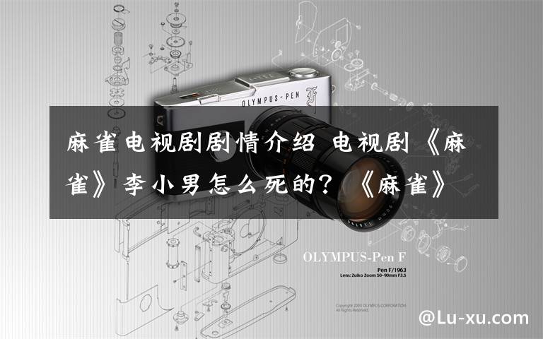 麻雀电视剧剧情介绍 电视剧《麻雀》李小男怎么死的？《麻雀》大结局及分集剧情介绍