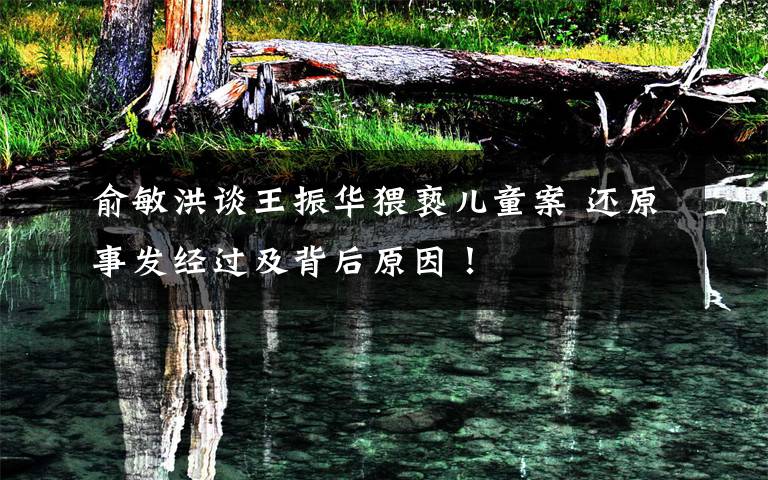 俞敏洪谈王振华猥亵儿童案 还原事发经过及背后原因!