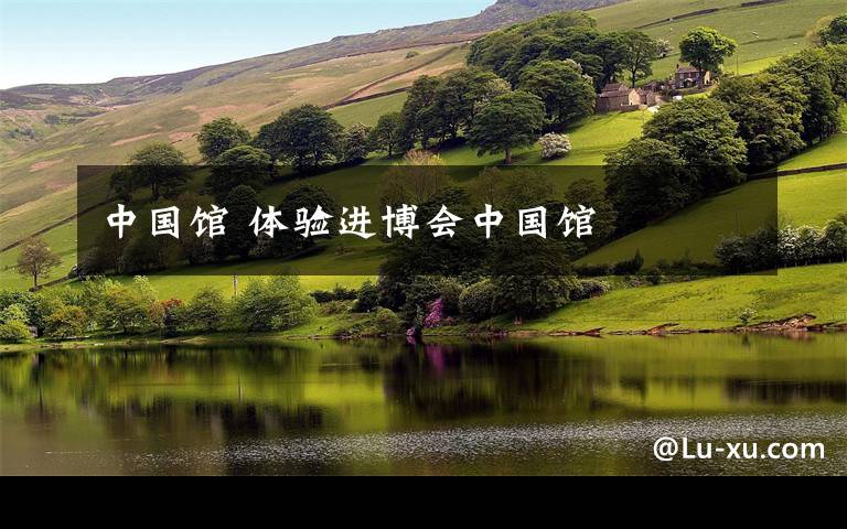 中国馆 体验进博会中国馆