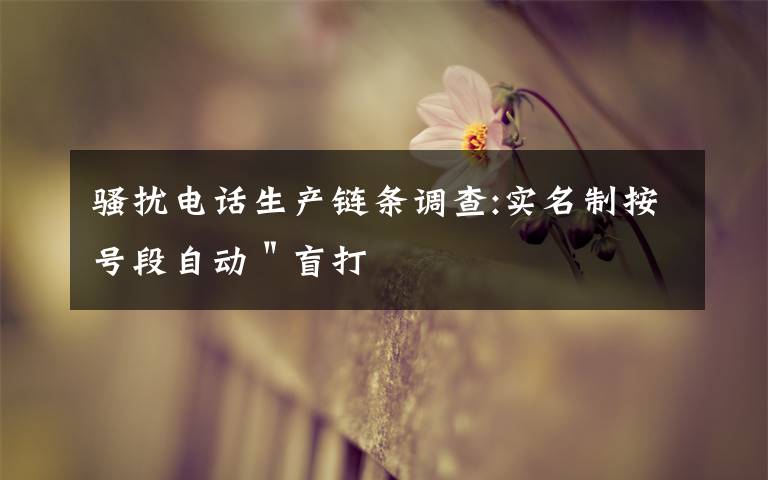 骚扰电话生产链条调查:实名制按号段自动"盲打