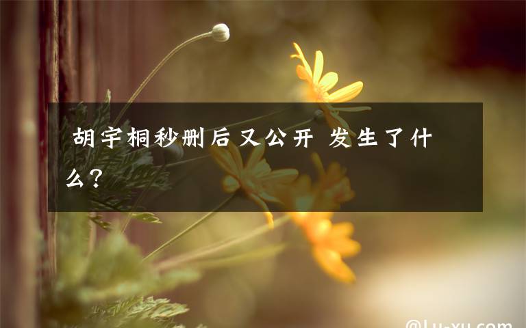 胡宇桐秒删后又公开 发生了什么?