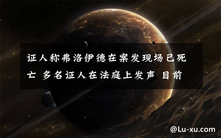 证人称弗洛伊德在案发现场已死亡 多名证人在法庭上发声 目前是什么情况?