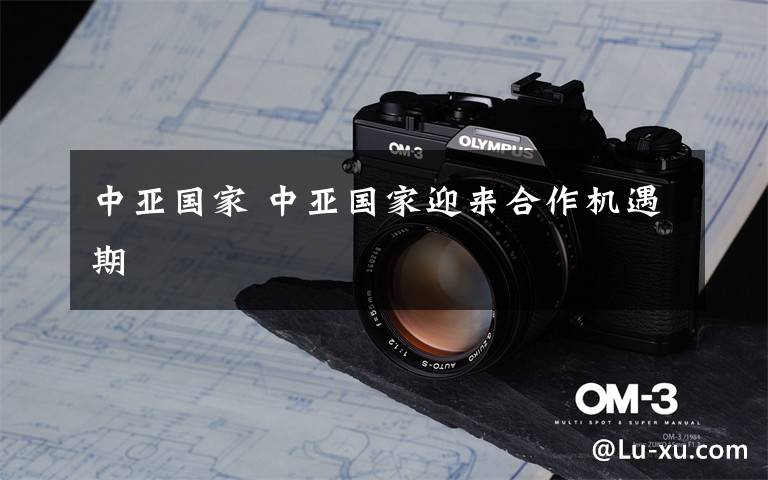 中亚国家 中亚国家迎来合作机遇期