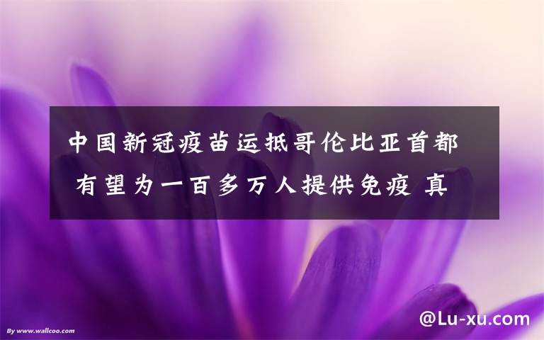 中国新冠疫苗运抵哥伦比亚首都 有望为一百多万人提供免疫 真相原来是这样!