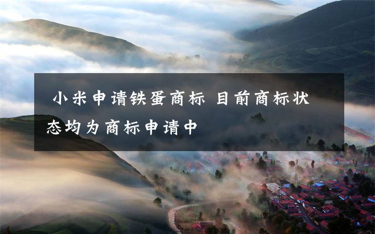 小米申请铁蛋商标 目前商标状态均为商标申请中
