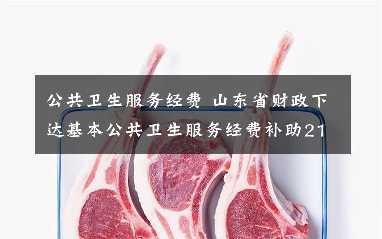 公共卫生服务经费 山东省财政下达基本公共卫生服务经费补助21.2亿元