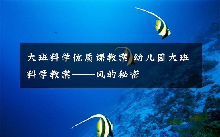 大班科学优质课教案 幼儿园大班科学教案——风的秘密