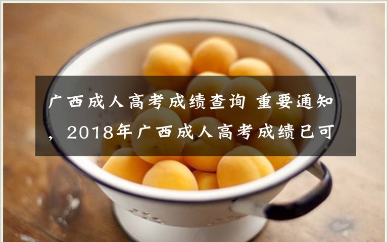 广西成人高考成绩查询 重要通知,2018年广西成人高考成绩已可查询!