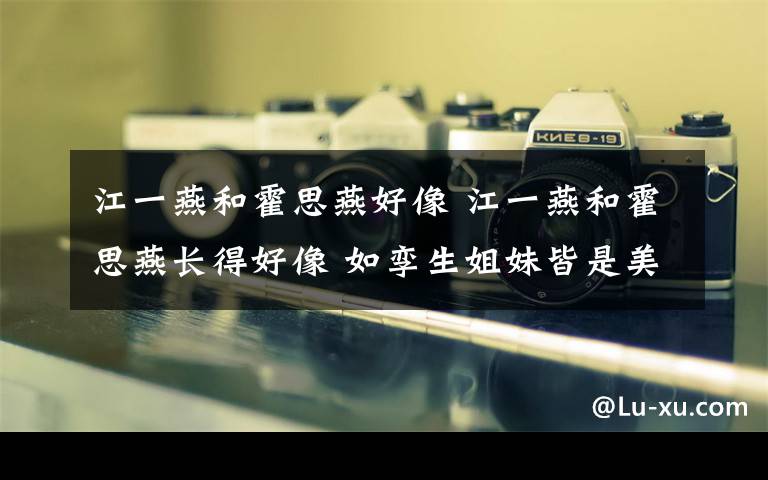 江一燕和霍思燕好像 江一燕和霍思燕长得好像 如孪生姐妹皆是美人胚子