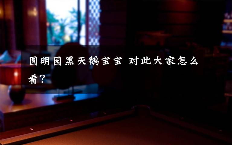 圆明园黑天鹅宝宝 对此大家怎么看?