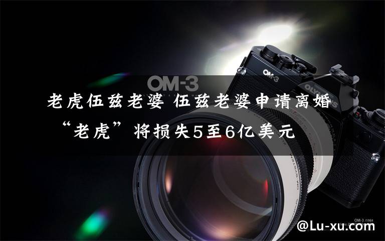 老虎伍兹老婆 伍兹老婆申请离婚 “老虎”将损失5至6亿美元