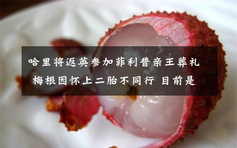 哈里将返英参加菲利普亲王葬礼 梅根因怀上二胎不同行 目前是什么情况?