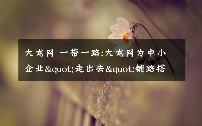 大龙网 一带一路:大龙网为中小企业"走出去"铺路搭桥