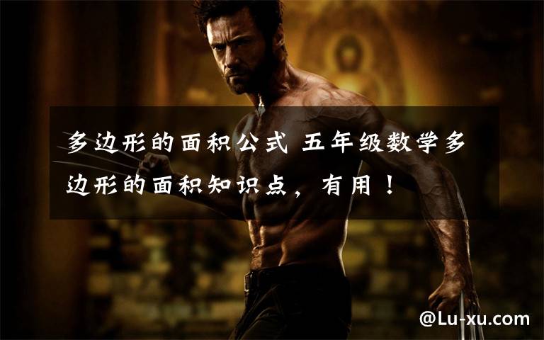 多边形的面积公式 五年级数学多边形的面积知识点,有用!