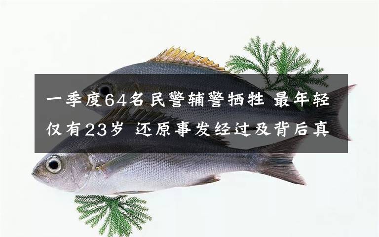 一季度64名民警辅警牺牲 最年轻仅有23岁 还原事发经过及背后真相!