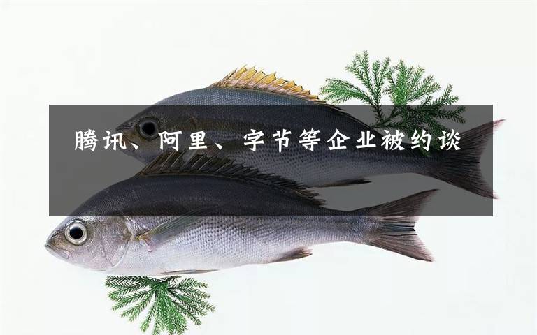 腾讯、阿里、字节等企业被约谈