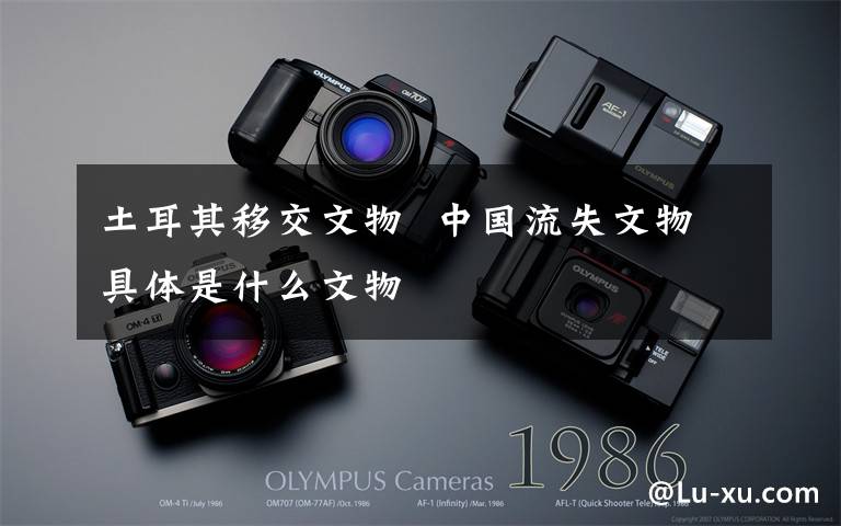 土耳其移交文物 中国流失文物具体是什么文物
