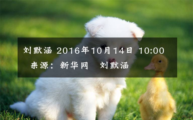刘默涵 2016年10月14日 10:00   来源：新华网   刘默涵