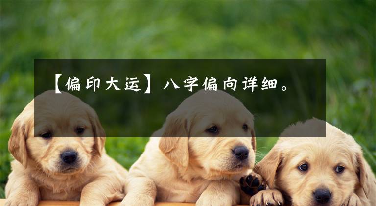 【偏印大运】八字偏向详细。