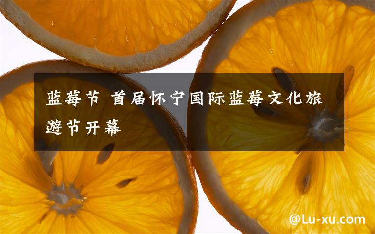 蓝莓节 首届怀宁国际蓝莓文化旅游节开幕