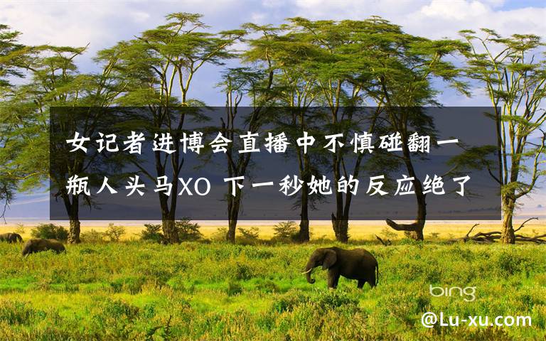 女记者进博会直播中不慎碰翻一瓶人头马XO 下一秒她的反应绝了