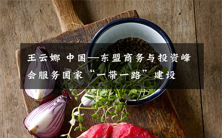 王云娜 中国—东盟商务与投资峰会服务国家“一带一路”建设