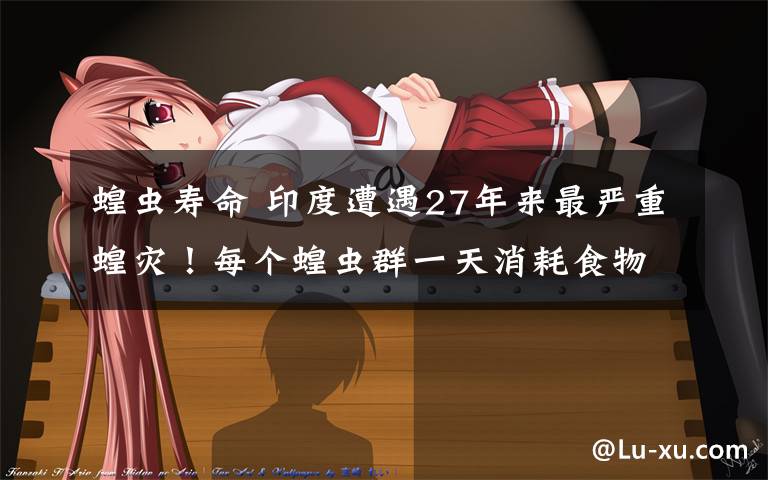 蝗虫寿命 印度遭遇27年来最严重蝗灾!每个蝗虫群一天消耗食物可喂饱3.5万人