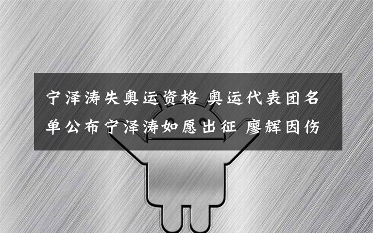 宁泽涛失奥运资格 奥运代表团名单公布宁泽涛如愿出征 廖辉因伤遗憾退役