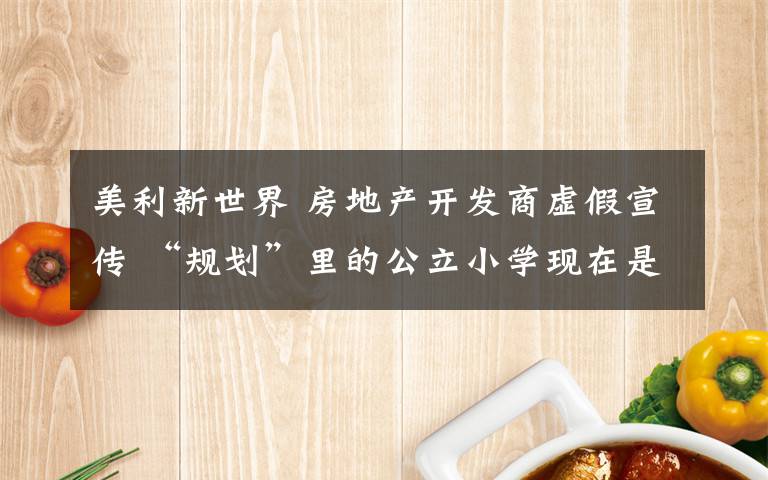 美利新世界 房地产开发商虚假宣传 “规划”里的公立小学现在是菜地
