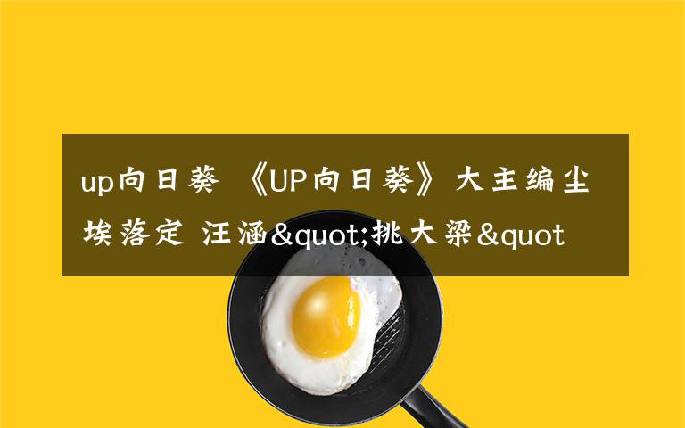 up向日葵 《UP向日葵》大主编尘埃落定 汪涵"挑大梁"/图