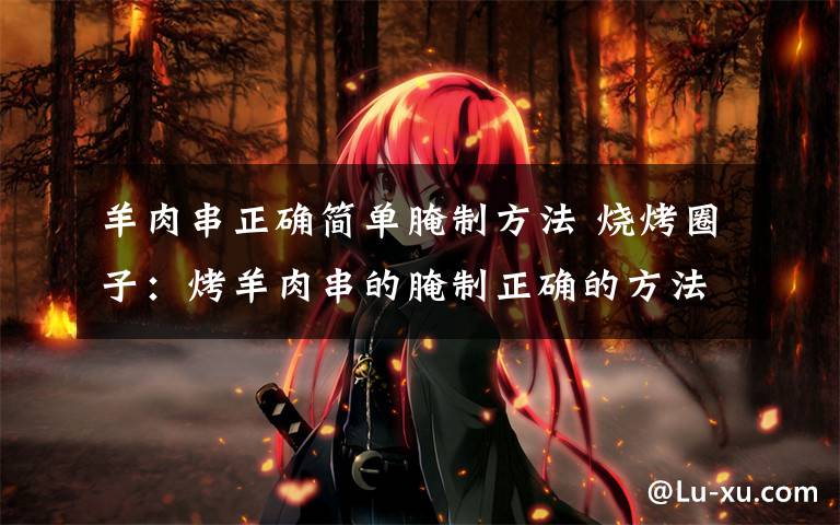 羊肉串正确简单腌制方法 烧烤圈子:烤羊肉串的腌制正确的方法和步骤!