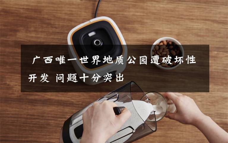 广西唯一世界地质公园遭破坏性开发 问题十分突出