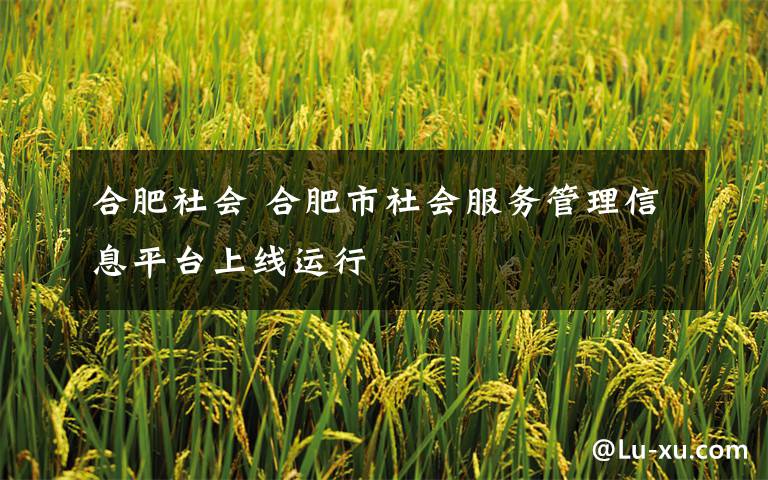 合肥社会 合肥市社会服务管理信息平台上线运行