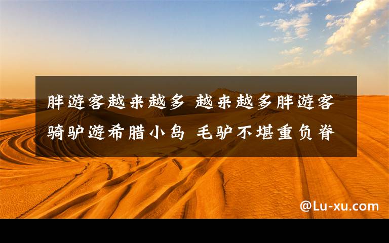 胖游客越来越多 越来越多胖游客骑驴游希腊小岛 毛驴不堪重负脊柱受损