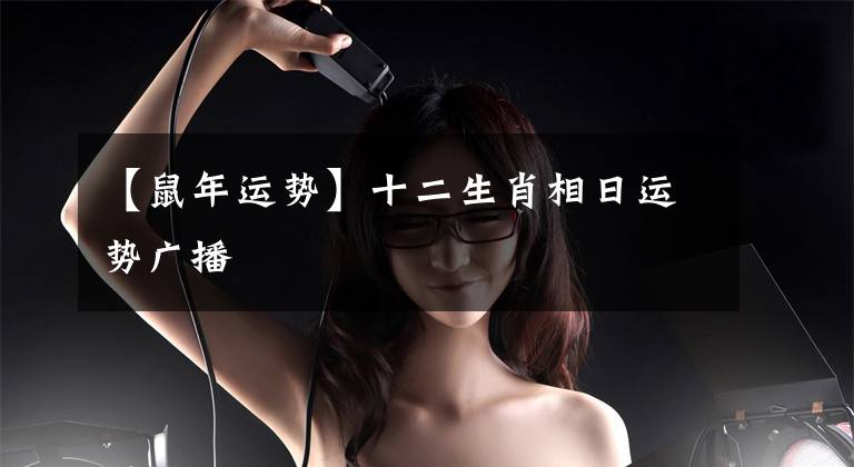 【鼠年运势】十二生肖相日运势广播