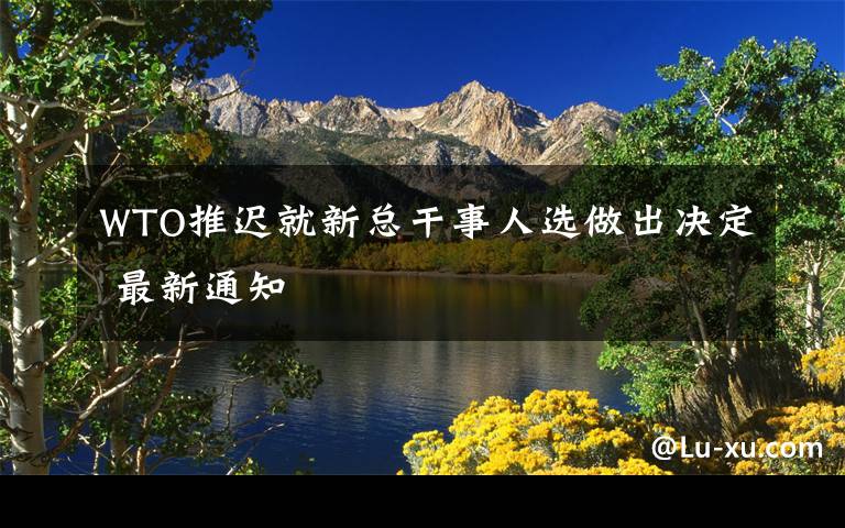 WTO推迟就新总干事人选做出决定 最新通知