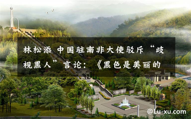 林松添 中国驻南非大使驳斥“歧视黑人”言论:《黑色是美丽的》值得一读