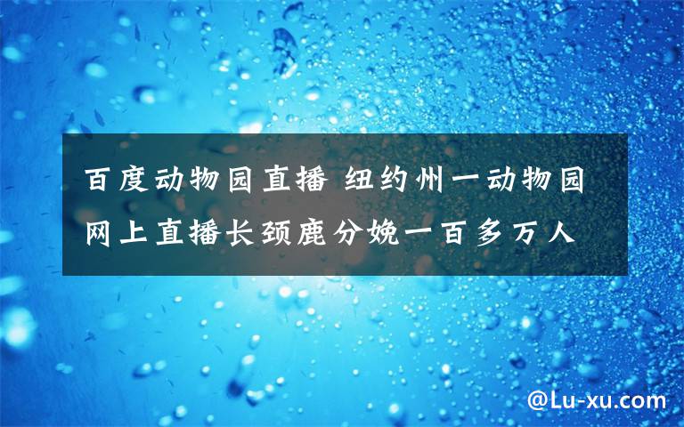 百度动物园直播 纽约州一动物园网上直播长颈鹿分娩一百多万人“围观”
