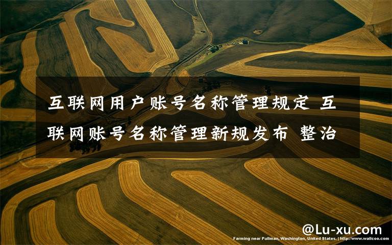互联网用户账号名称管理规定 互联网账号名称管理新规发布 整治网名头像等违法乱象