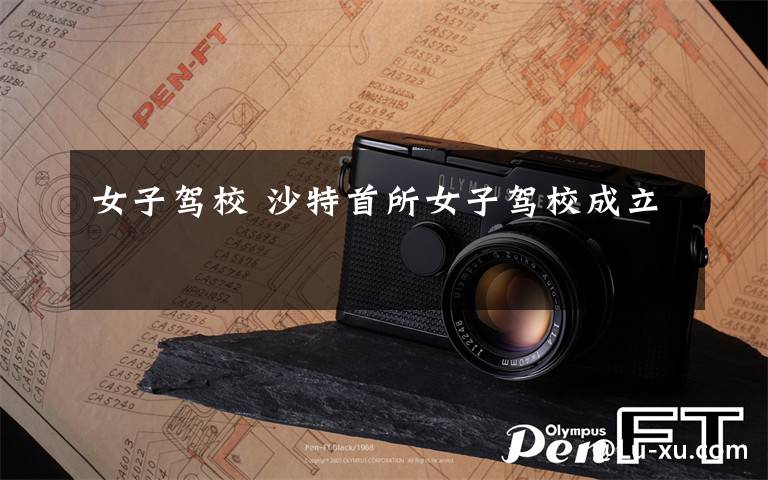 女子驾校 沙特首所女子驾校成立