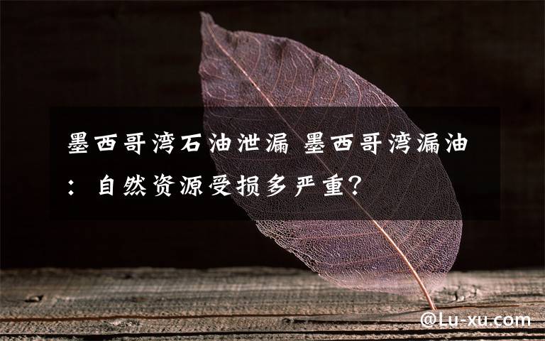 墨西哥湾石油泄漏 墨西哥湾漏油：自然资源受损多严重？