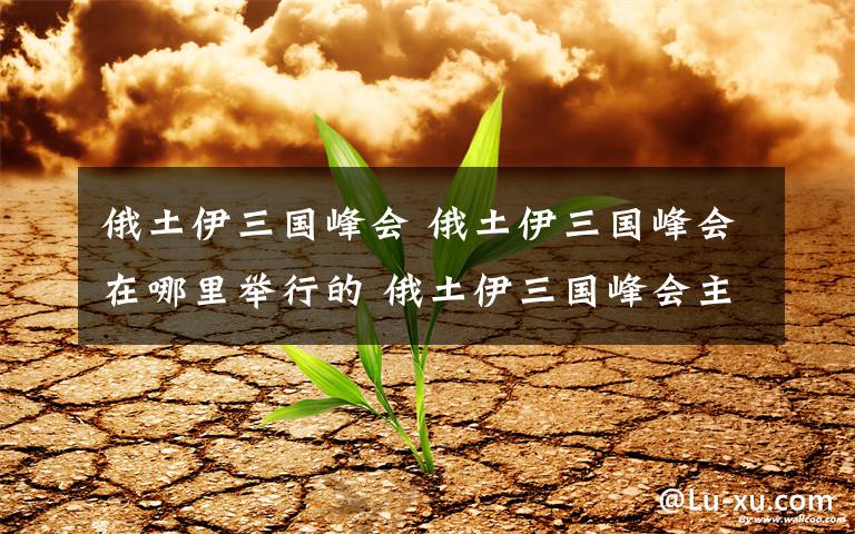 俄土伊三国峰会 俄土伊三国峰会在哪里举行的 俄土伊三国峰会主题是什么？