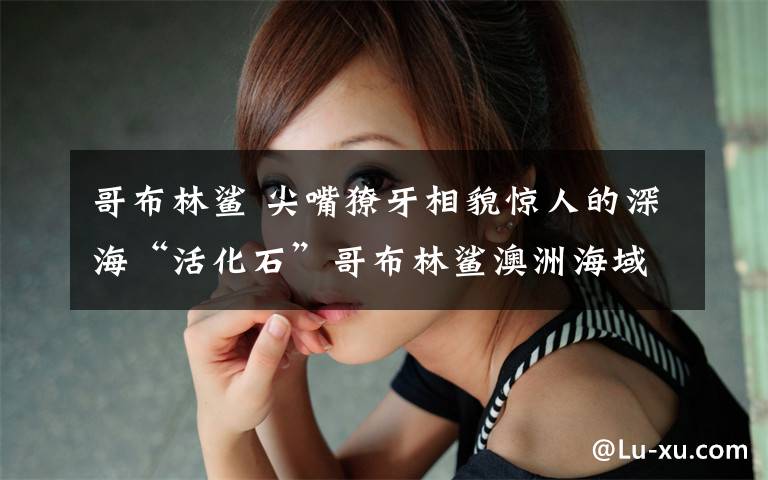 哥布林鲨 尖嘴獠牙相貌惊人的深海“活化石”哥布林鲨澳洲海域落网