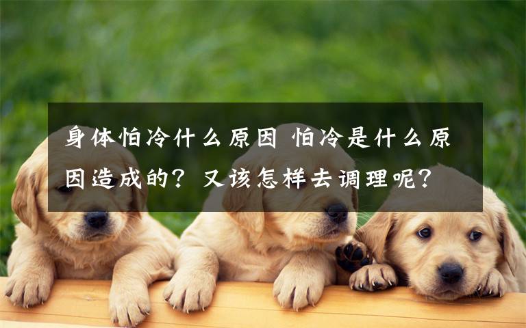 身体怕冷什么原因 怕冷是什么原因造成的?又该怎样去调理呢?