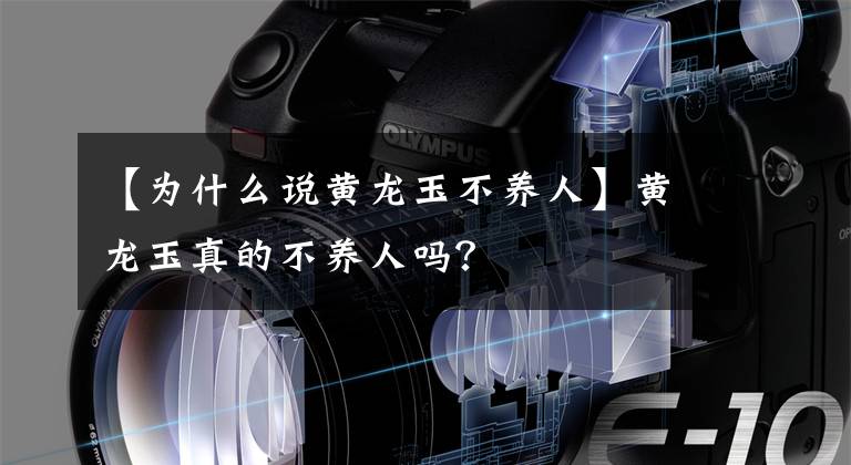 【为什么说黄龙玉不养人】黄龙玉真的不养人吗?