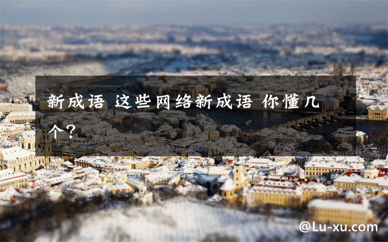 新成语 这些网络新成语 你懂几个?