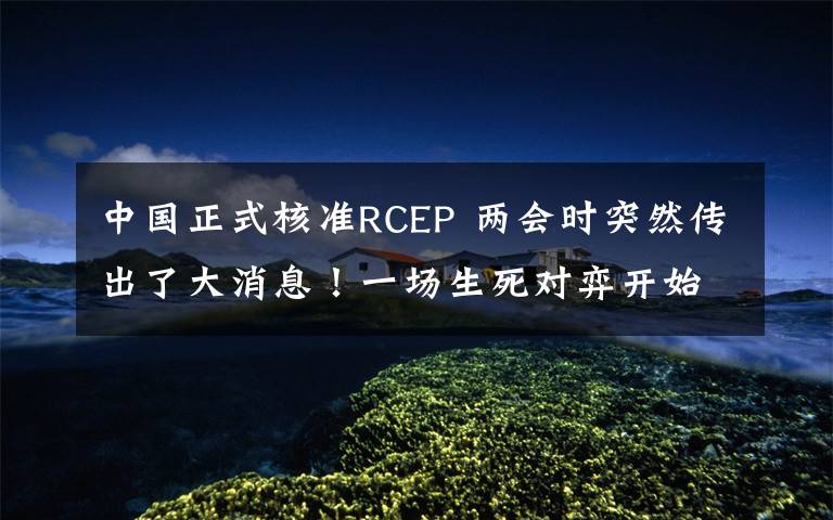 中国正式核准RCEP 两会时突然传出了大消息!一场生死对弈开始了